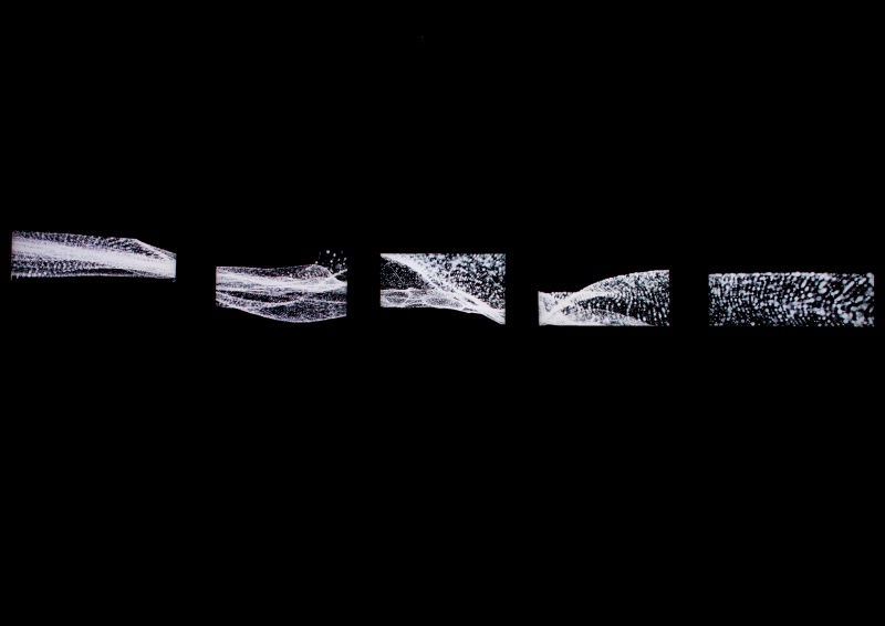 800px-Y_Phenomenon-Quad02