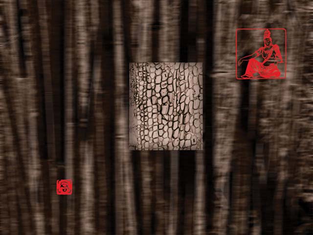 觀自在