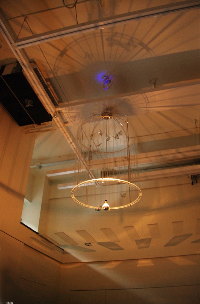 LJT-CFLDCDream_Catcher-1-1