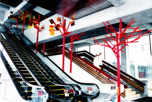 花開在樹叢裏， 不管有沒有人欣賞， 不管有沒有人經過，它始，終散發著它自己的芳香，人，您不要幻覺以為它是為………