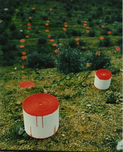 紙是樹的延伸 人的生命，，，生活是 ，紙的延伸 B