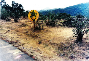 人的情緒和自然的關係