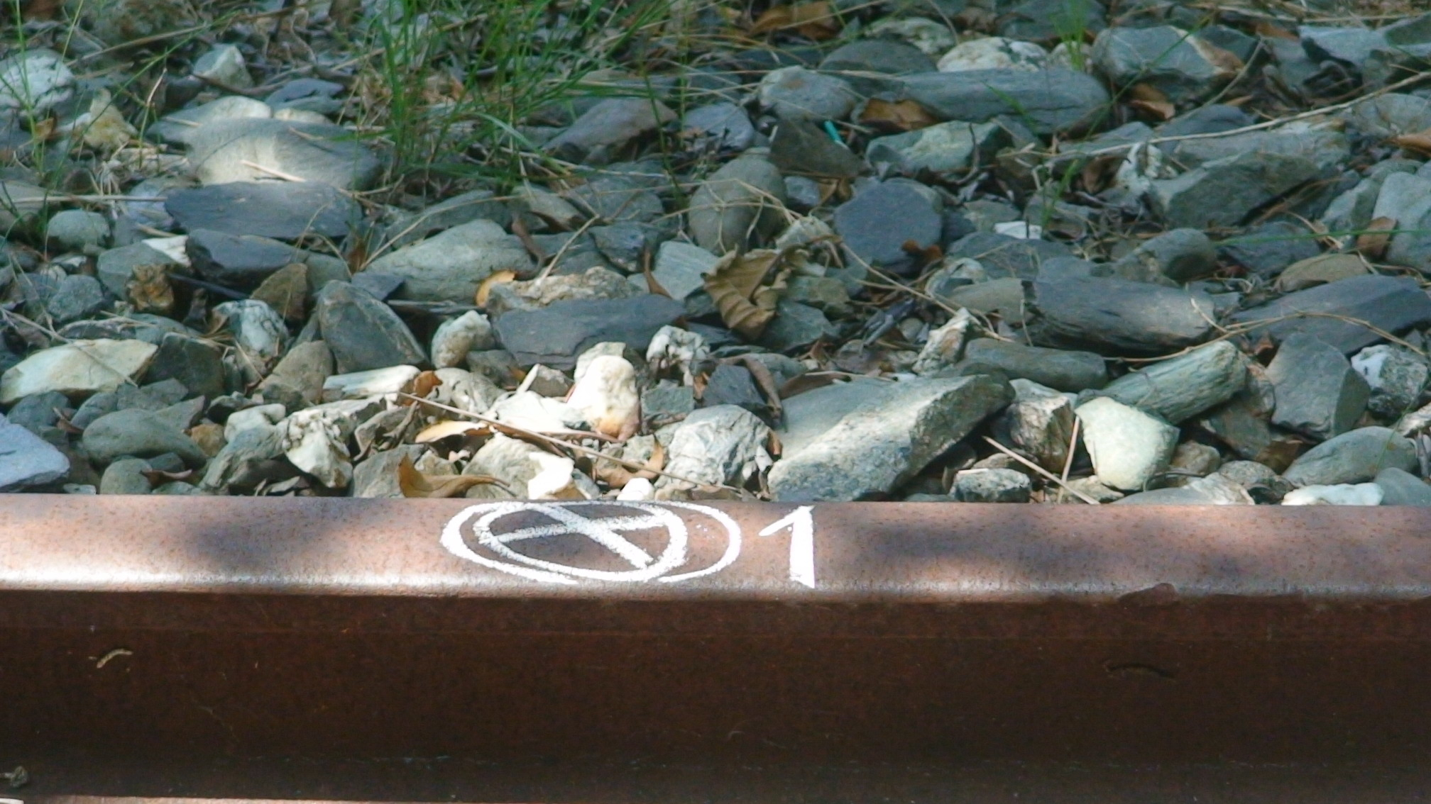 THC-RNE-01-1