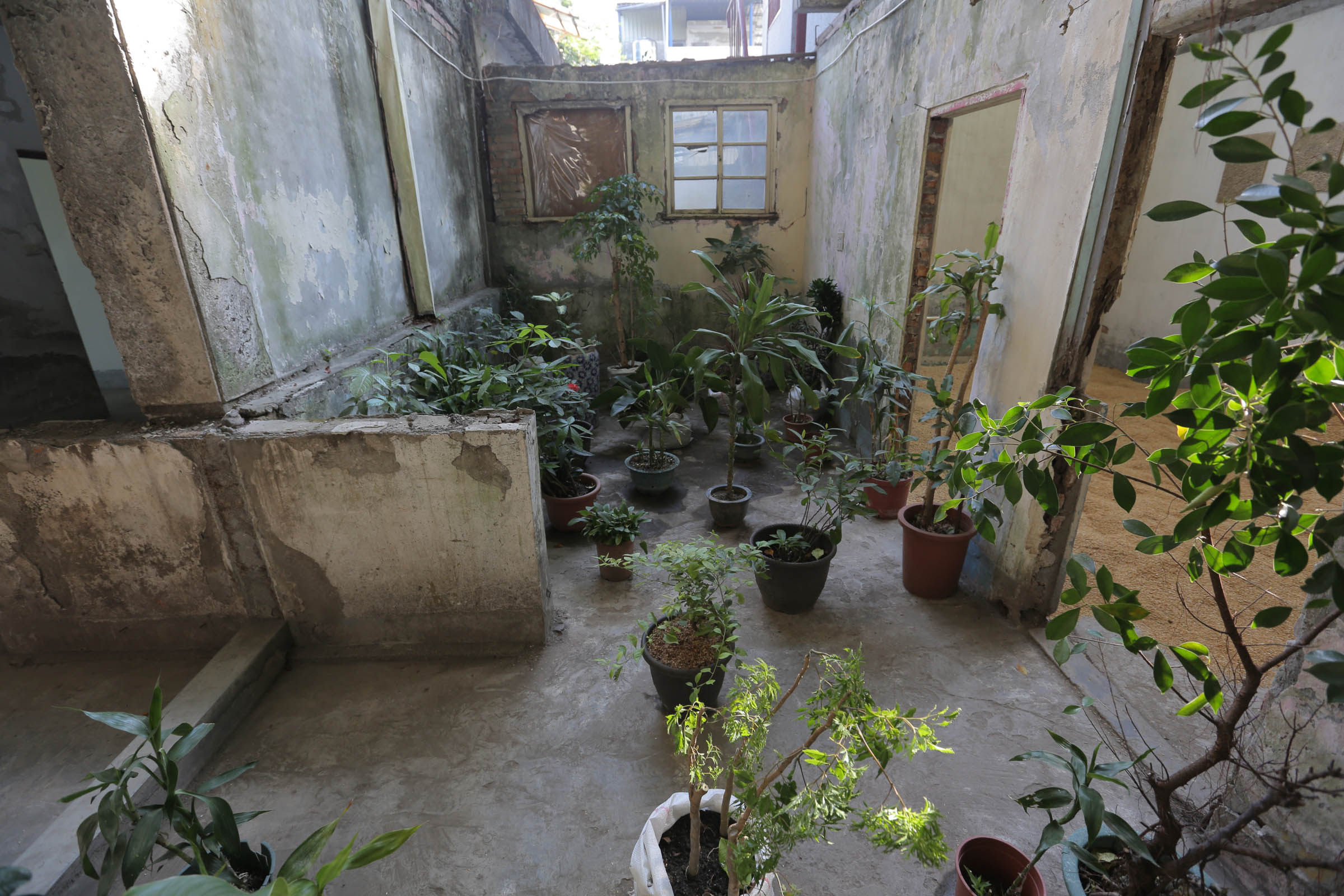 植栽Plant1