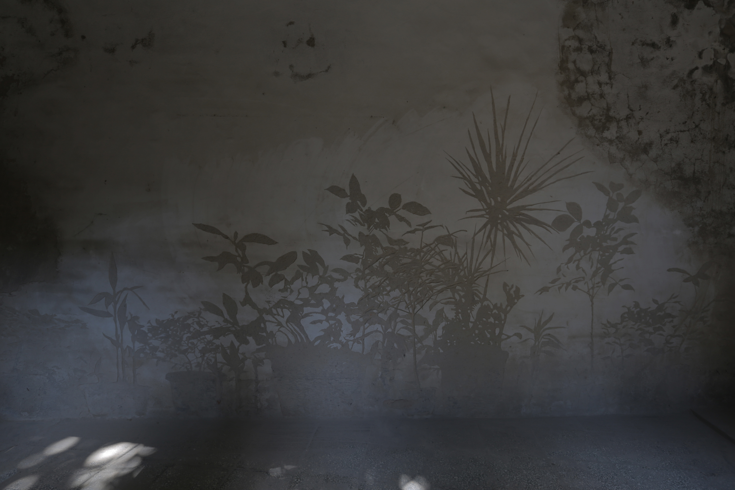 植栽Plant2