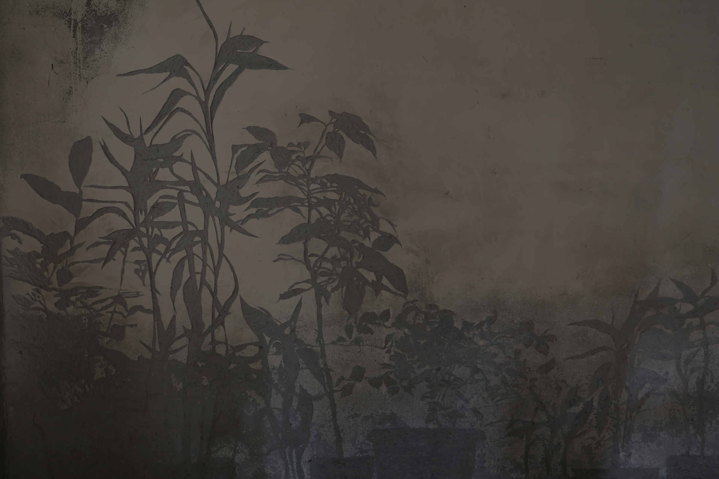 植栽Plant4