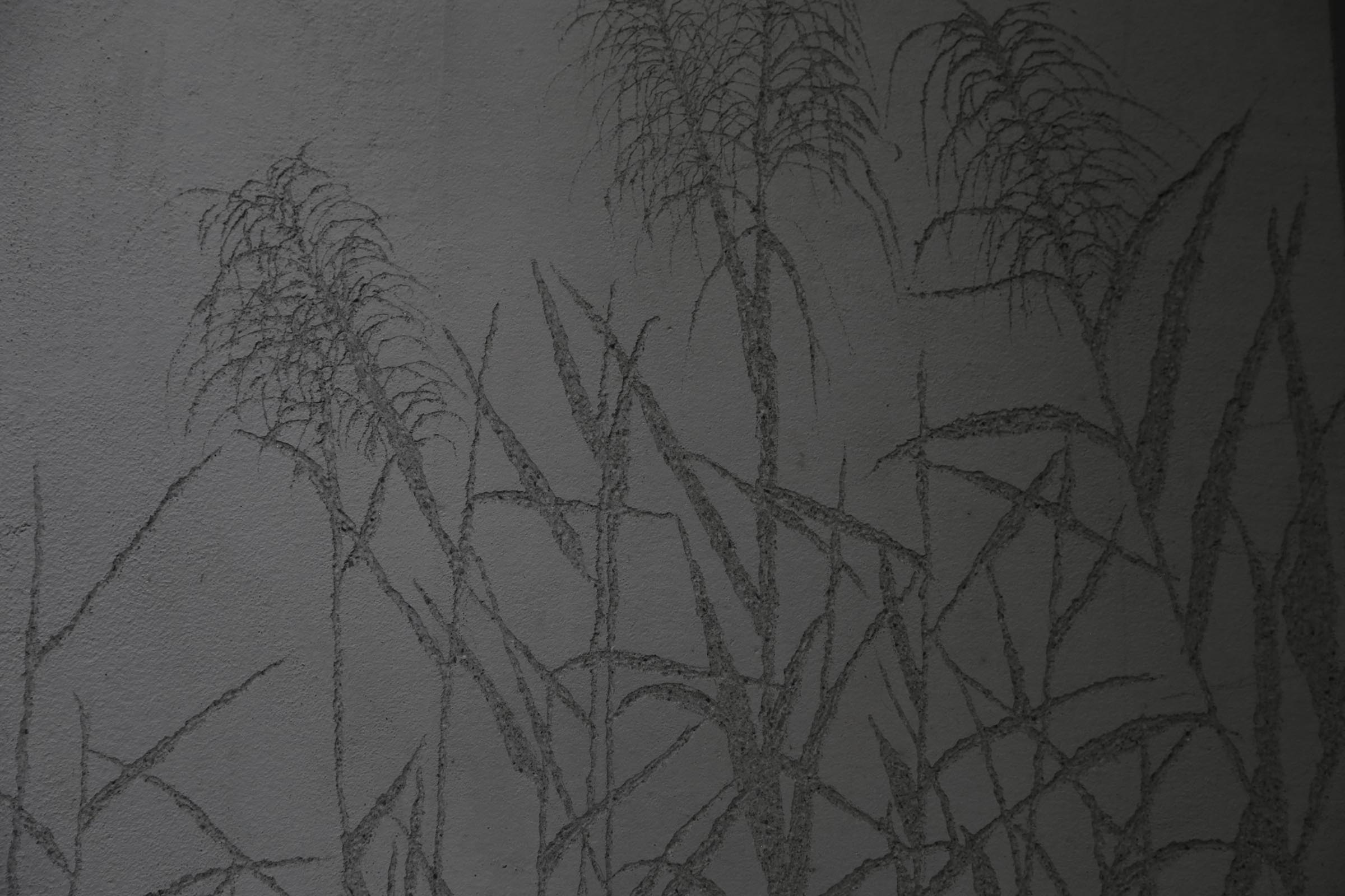 植栽Plant5