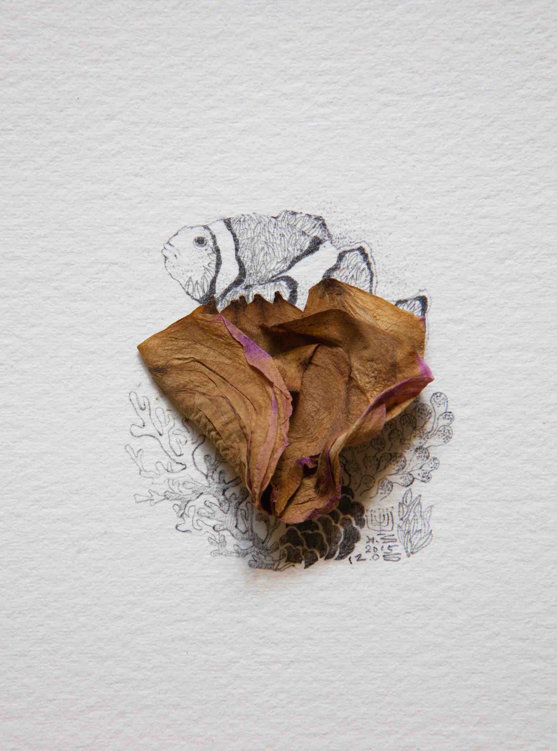 19.傅浩軒_孵化日記2015_12_05_2015_複合媒材_18.2×13.2cm_小CD4F