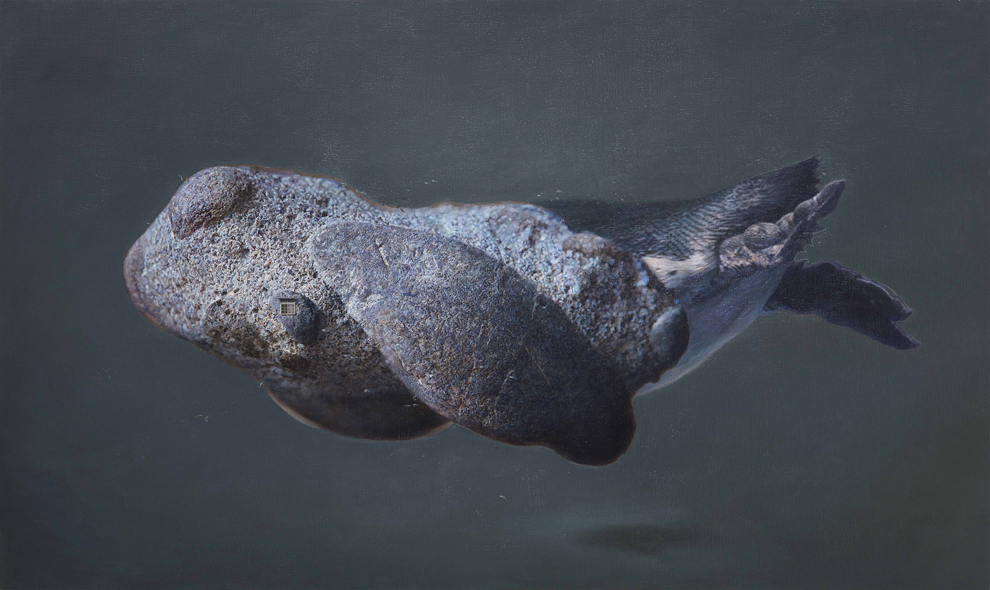 3.傅浩軒_極地命案_2015_油彩畫布_97x162cm_小