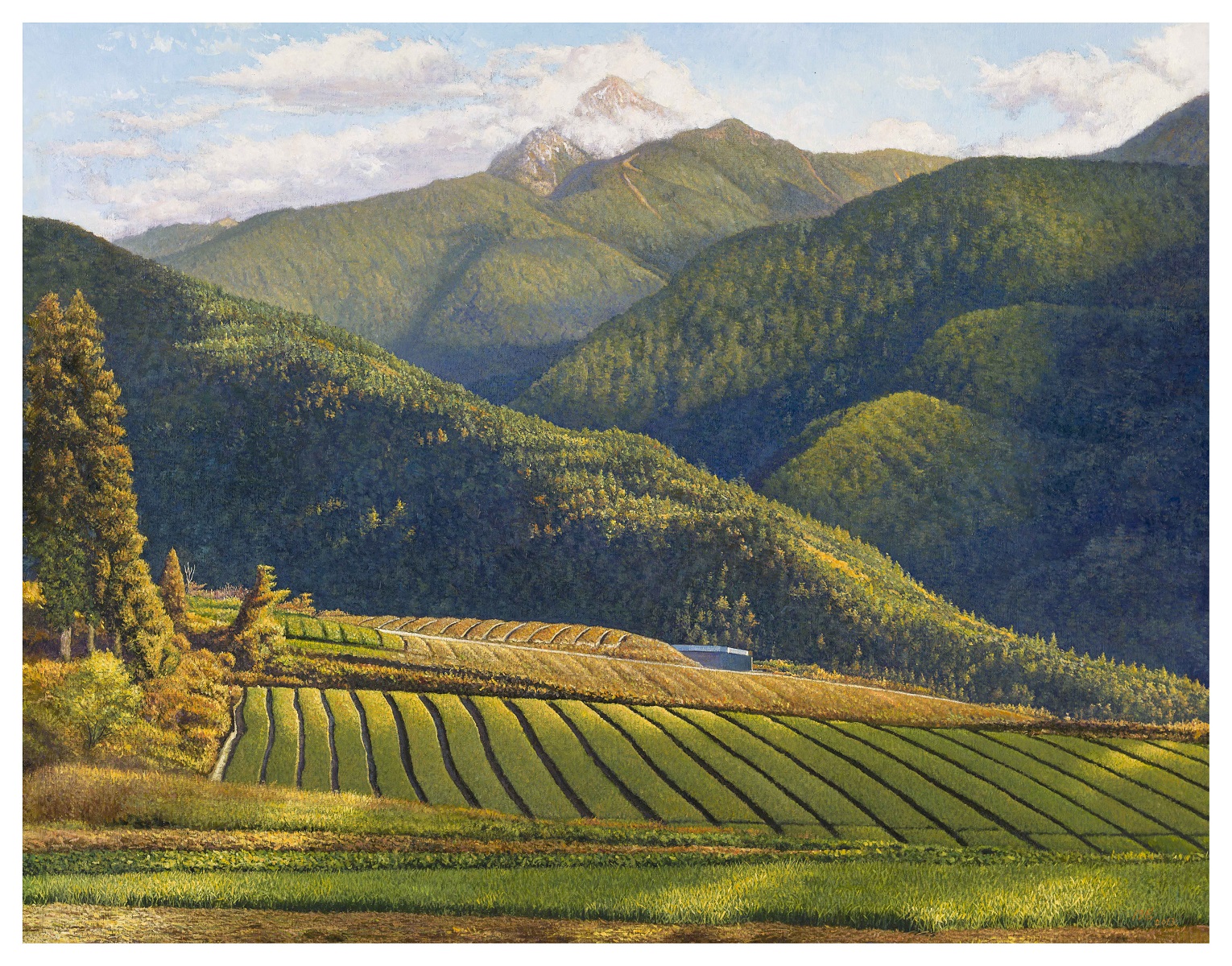 梨山行旅
