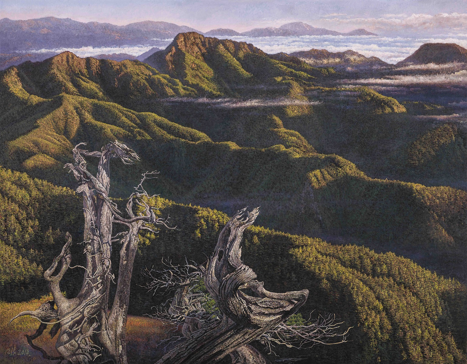 山景