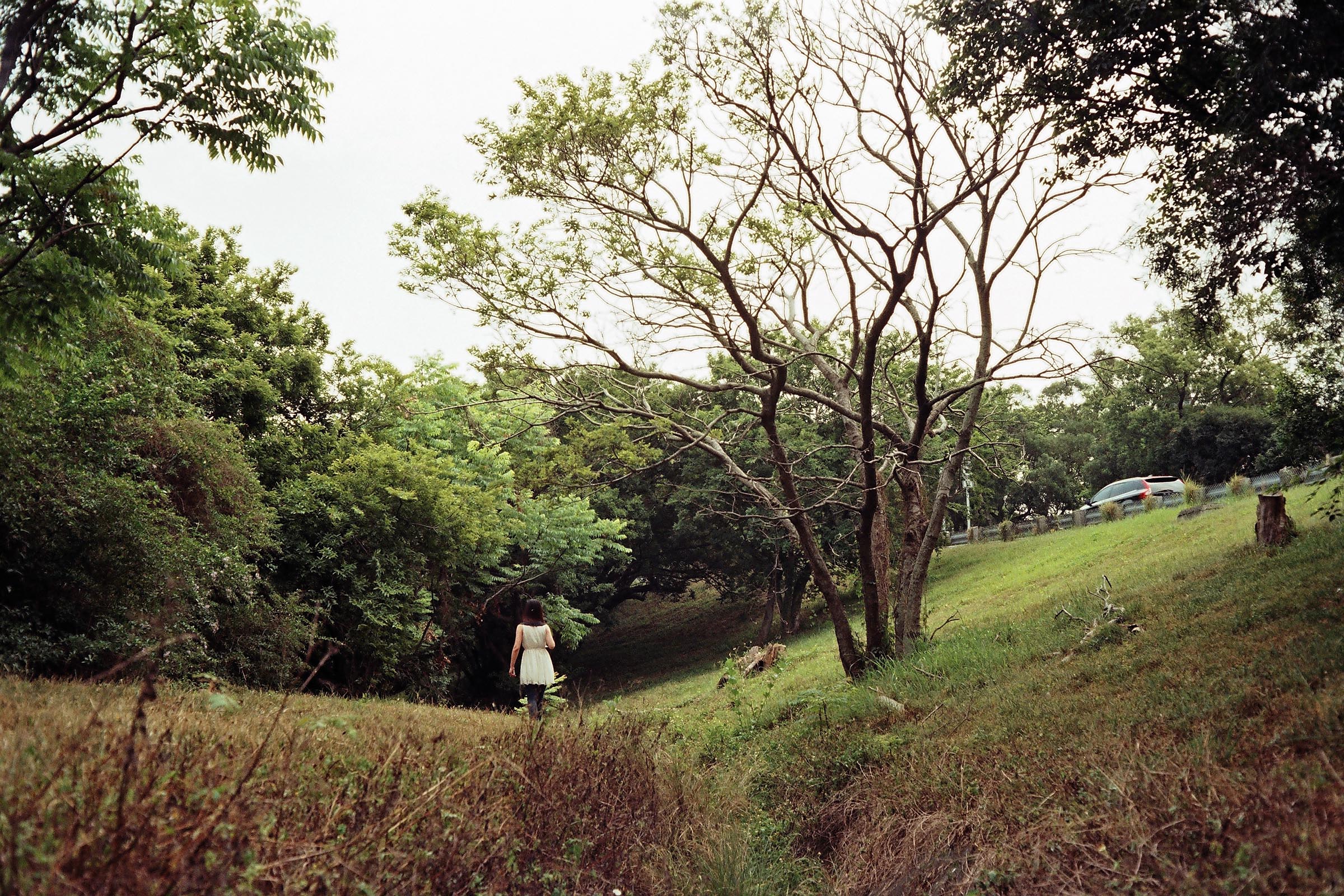2014-Roadtrip-II