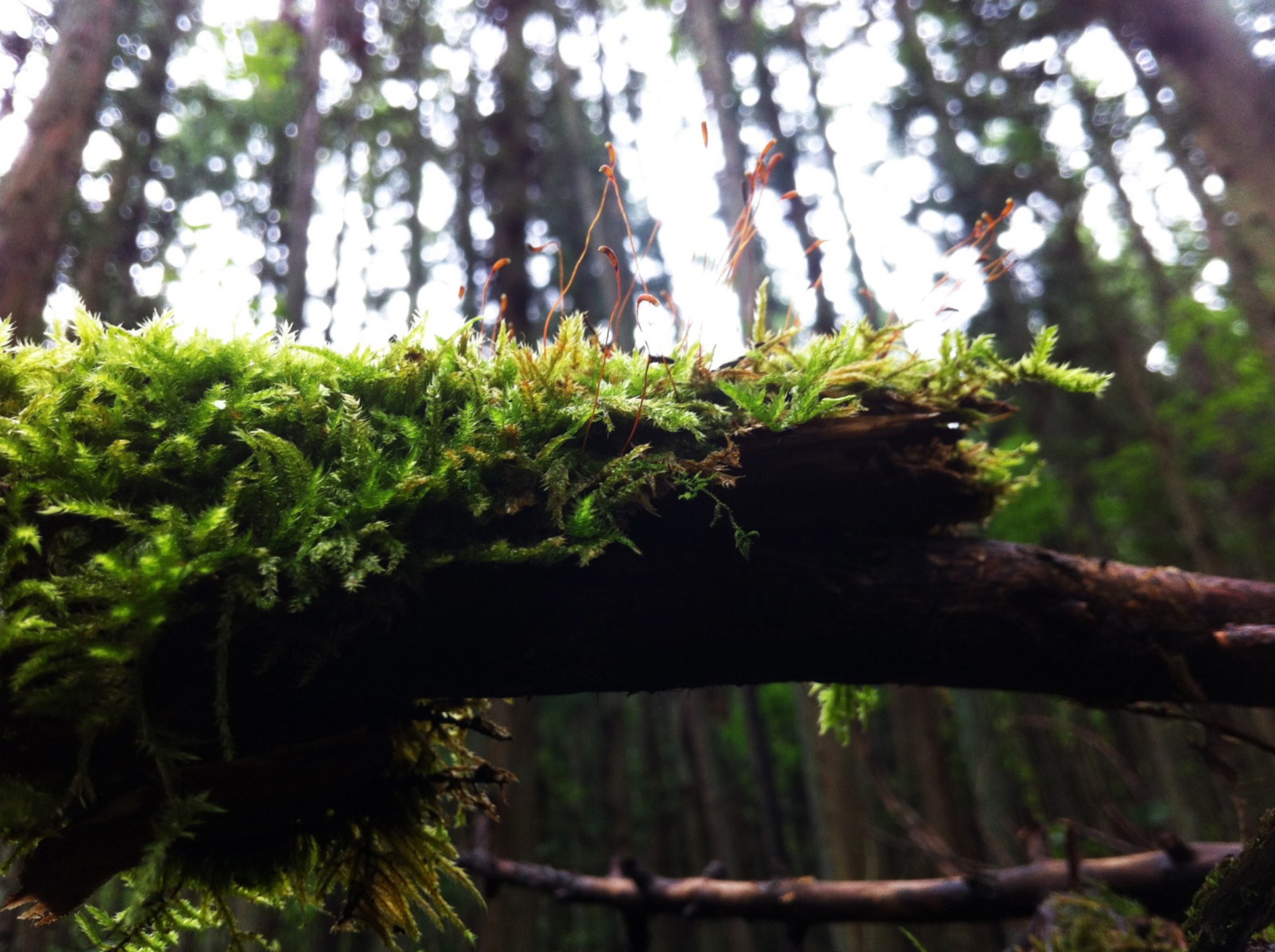 2015-07-水氣場Water-Aura-1-01