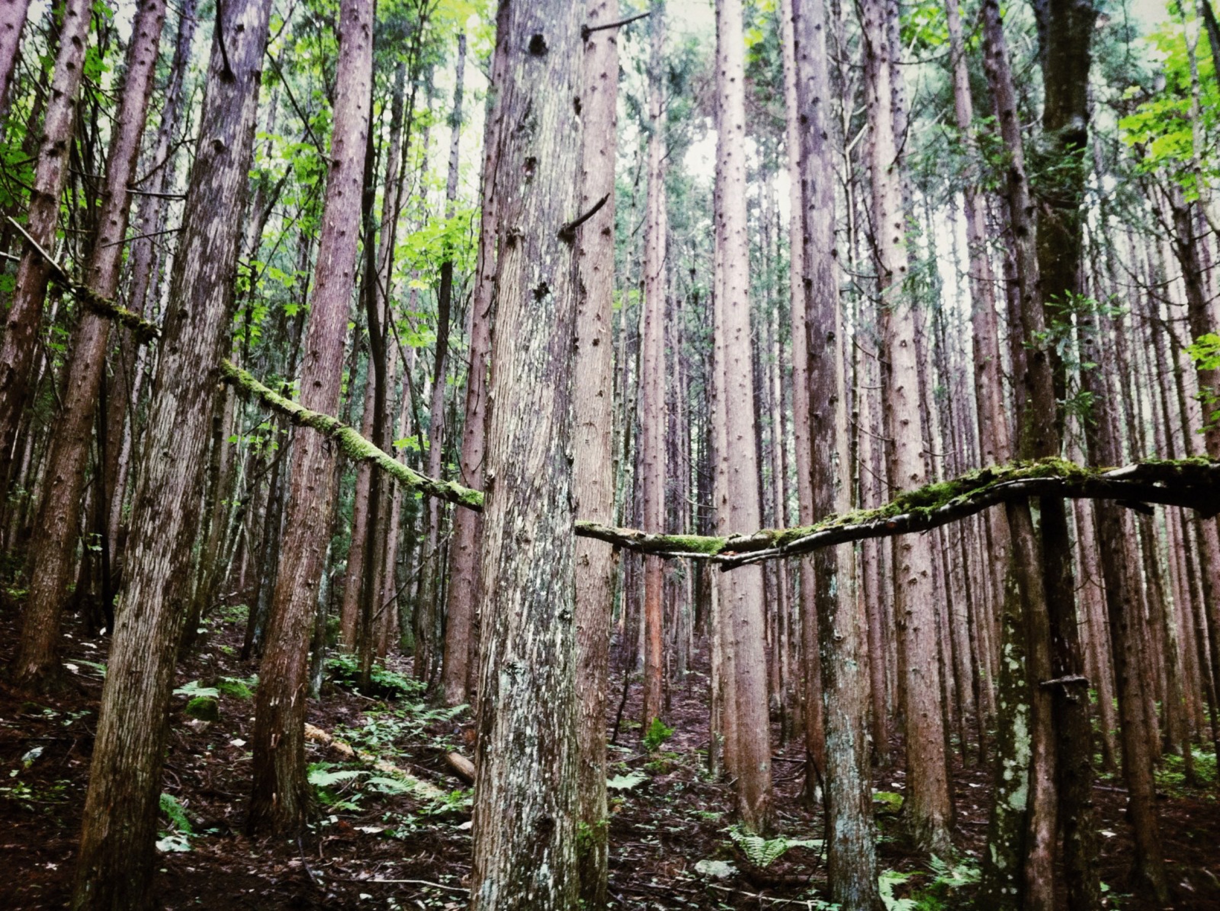 2015-07-水氣場Water-Aura-1-02