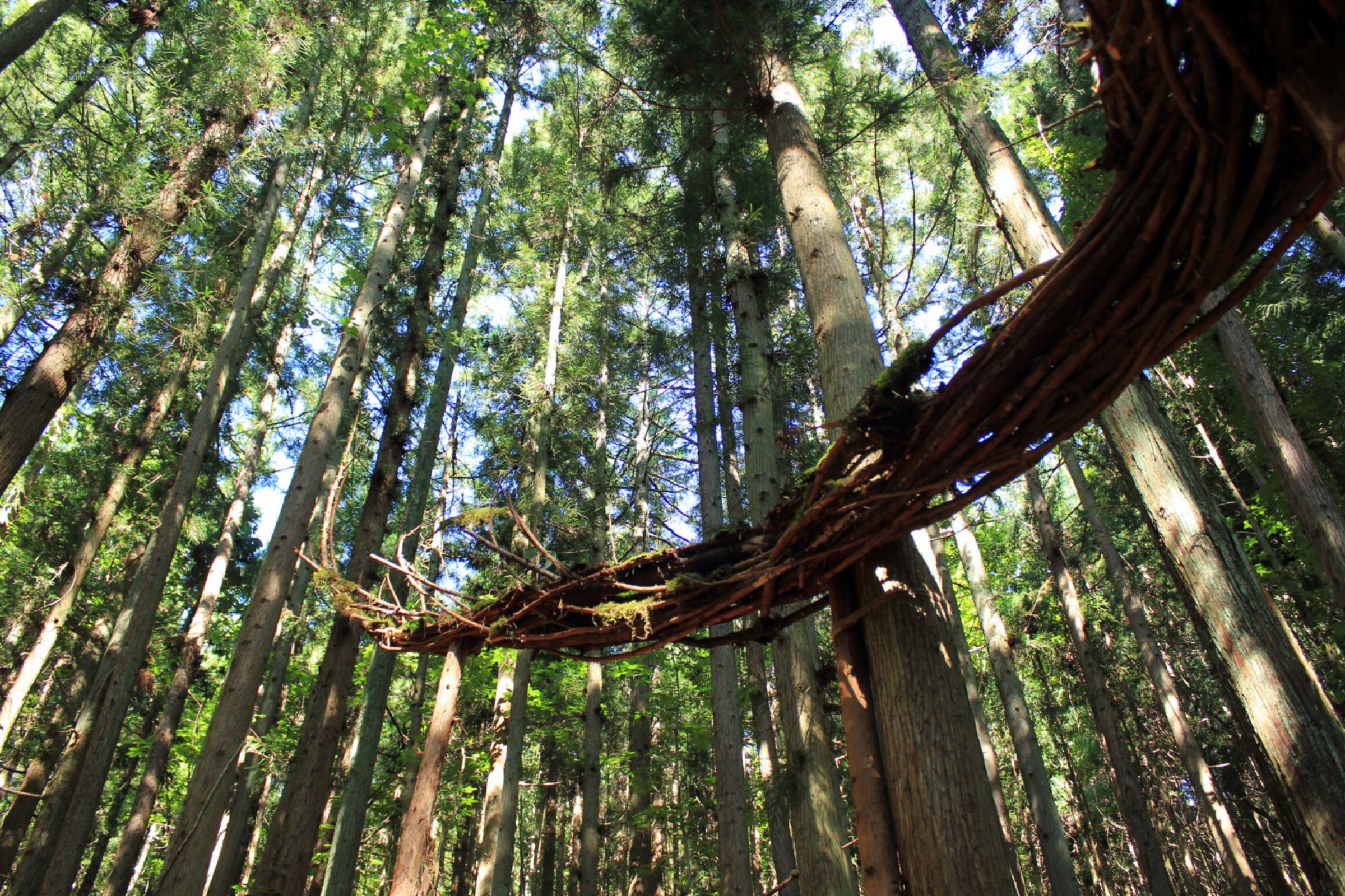 2015-07-水氣場Water-Aura-1-08