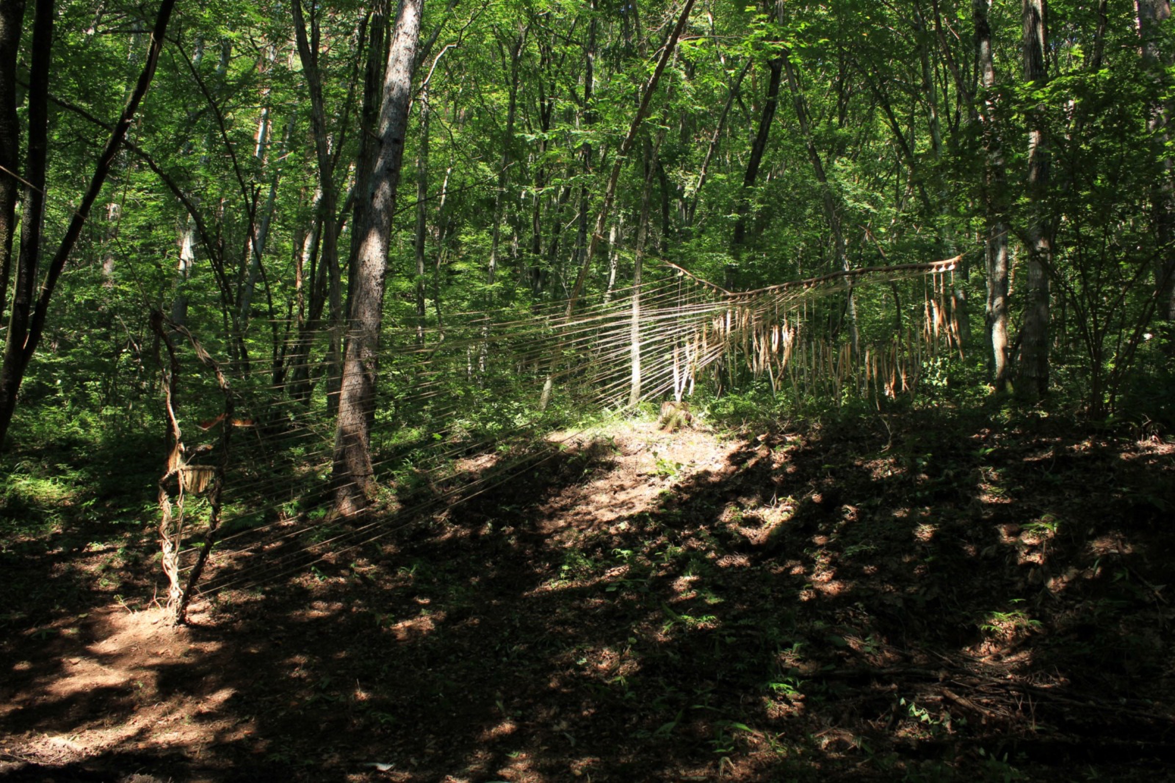 2015-07-水氣場Water-Aura-2-02