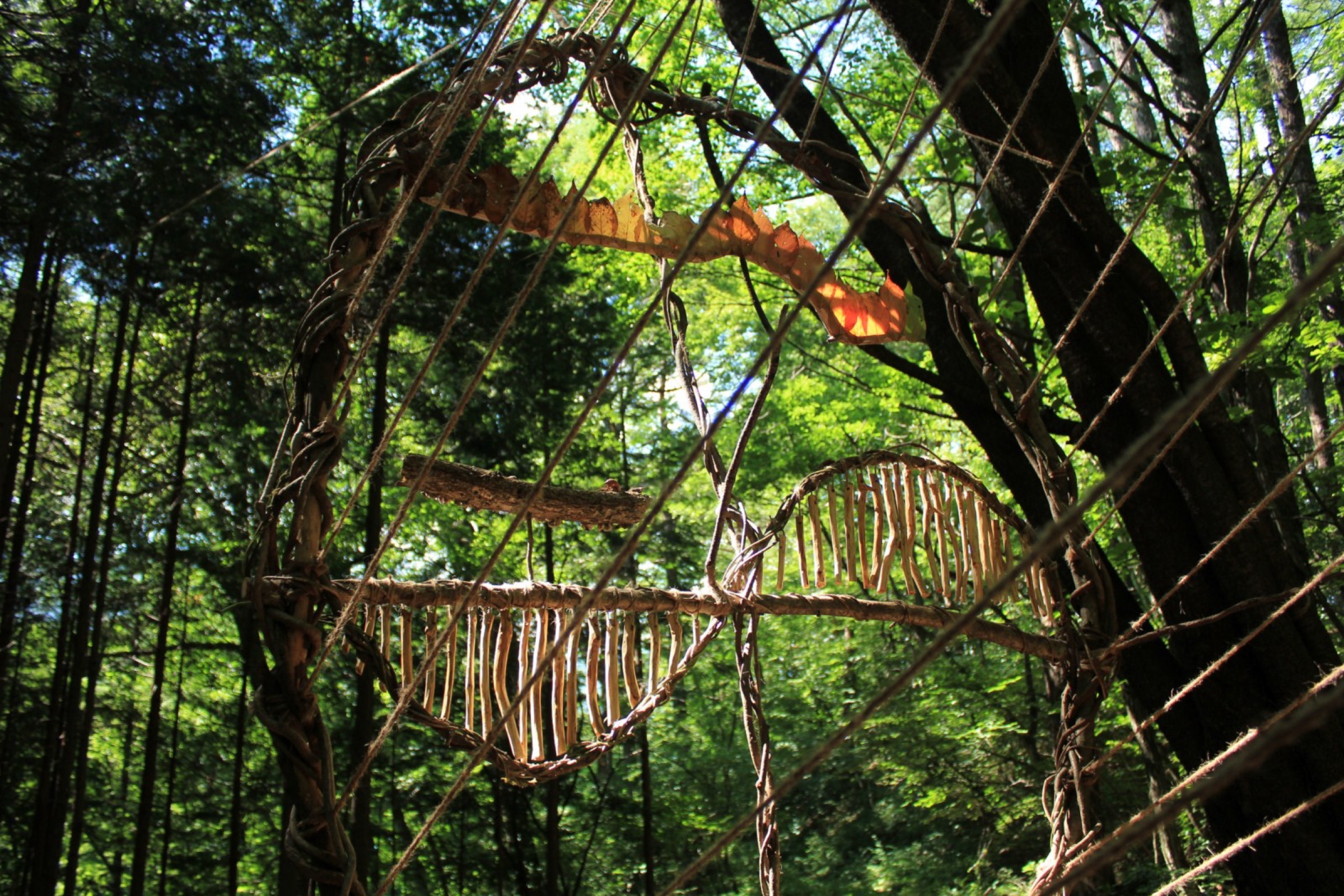 2015-07-水氣場Water-Aura-2-03