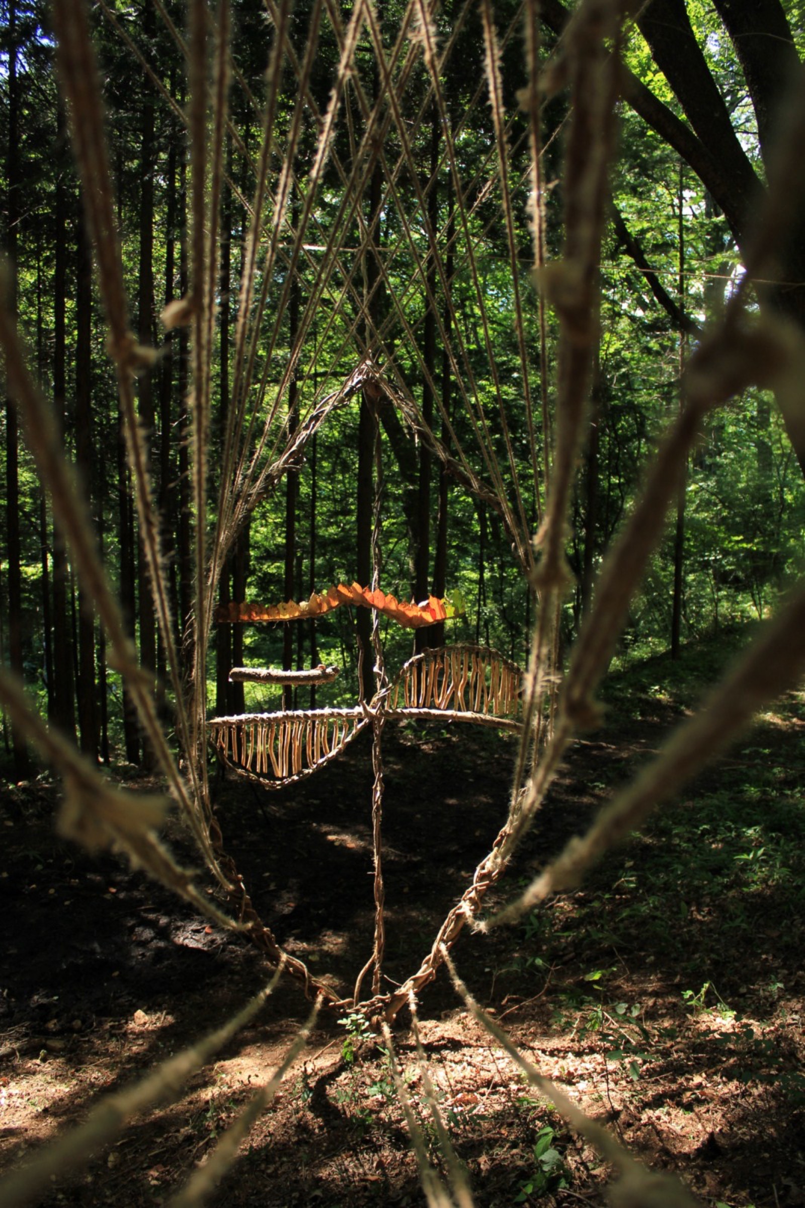 2015-07-水氣場Water-Aura-2-04