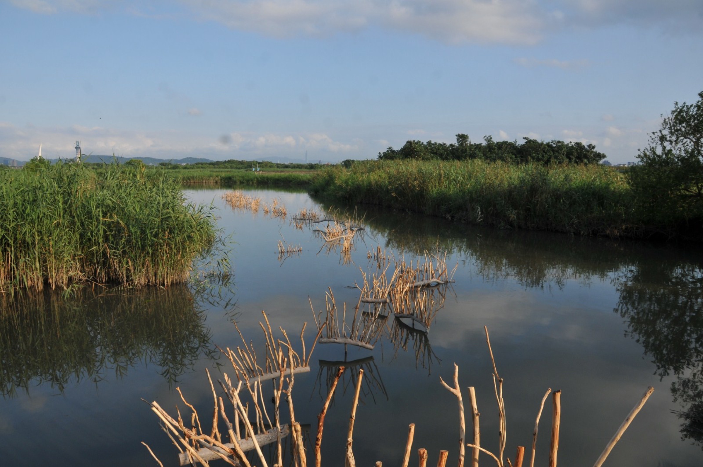 2015-09-潮語Tide-Whisper-02