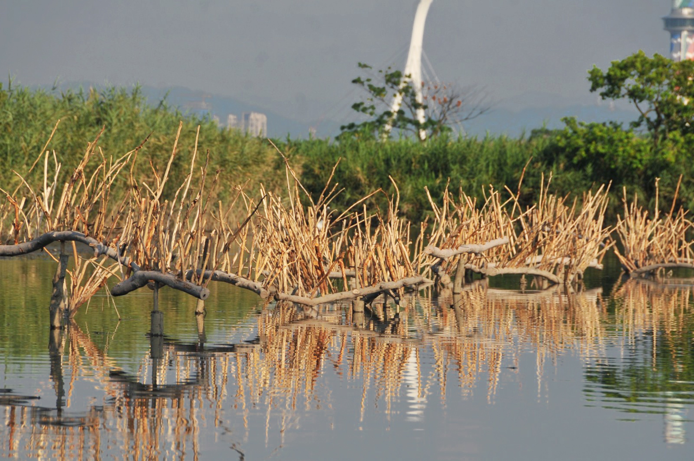 2015-09-潮語Tide-Whisper-03