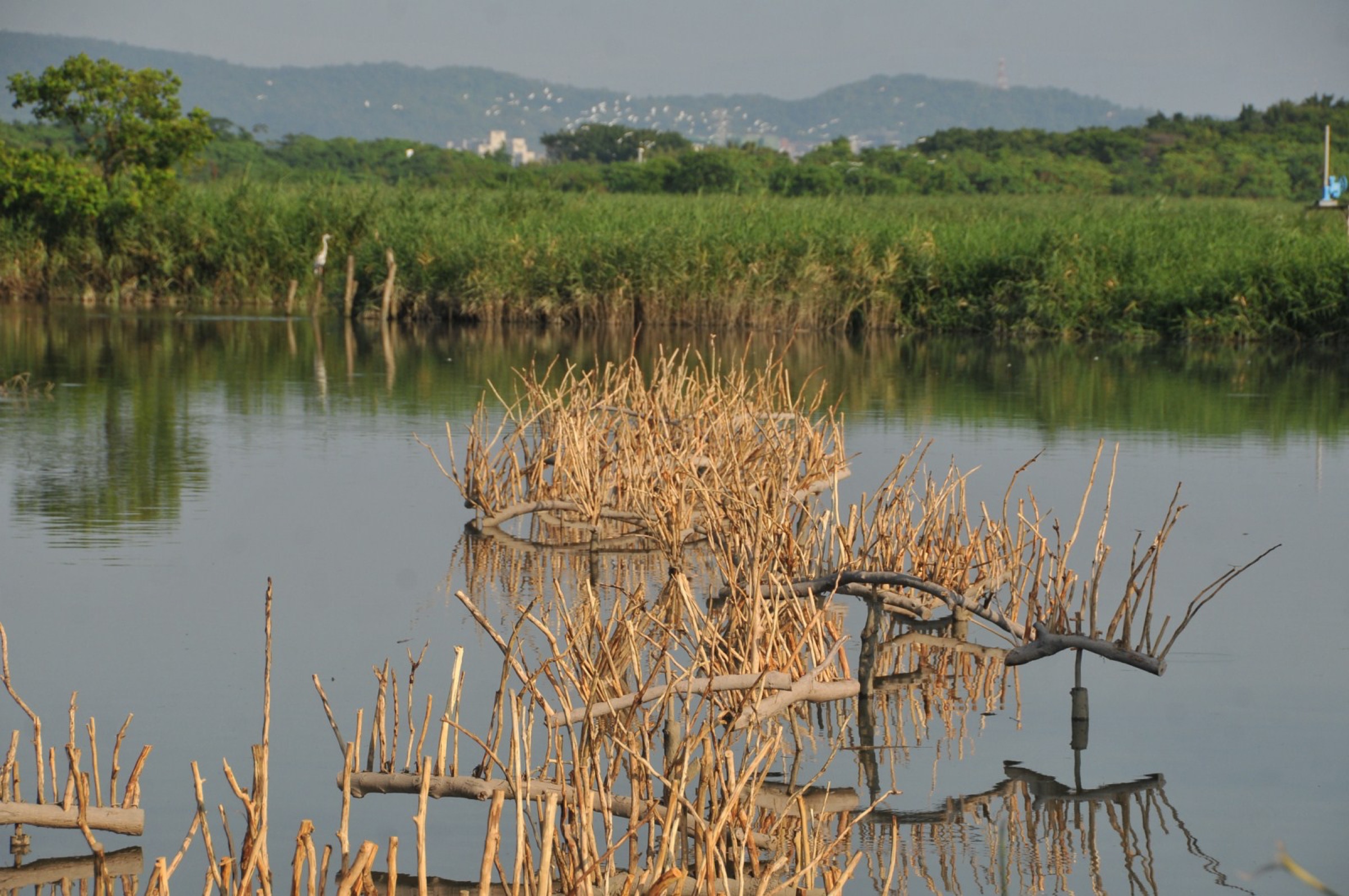 2015-09-潮語Tide-Whisper-05