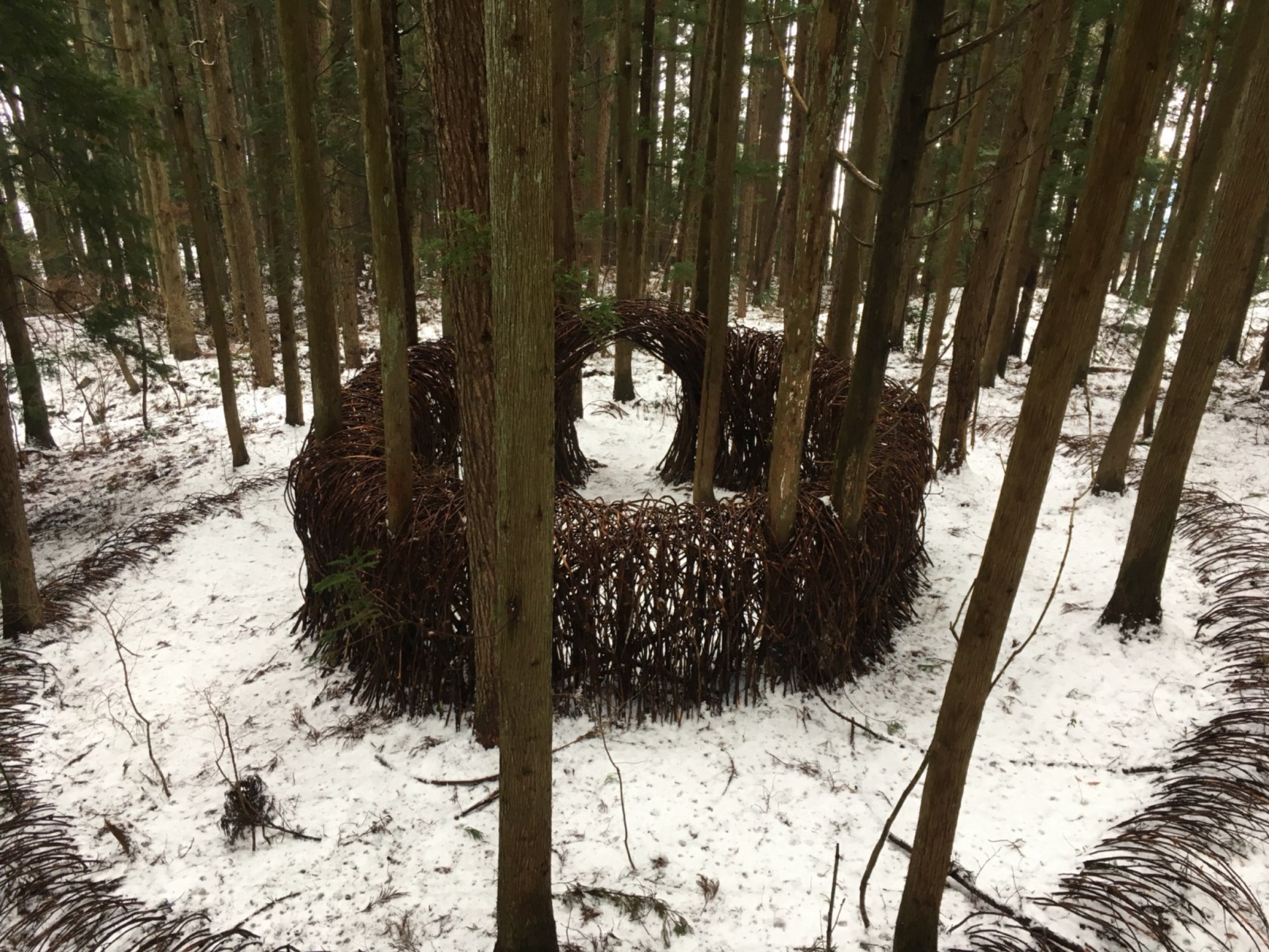 2016-Ripple-Drama-12