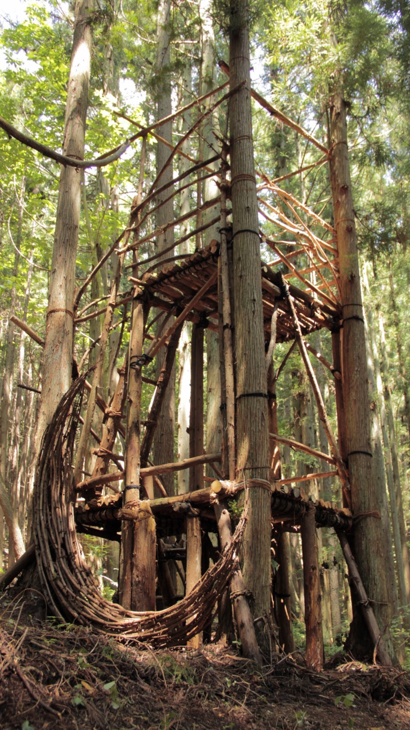 2016-Water-Aura-3-Forest-Lookout-2