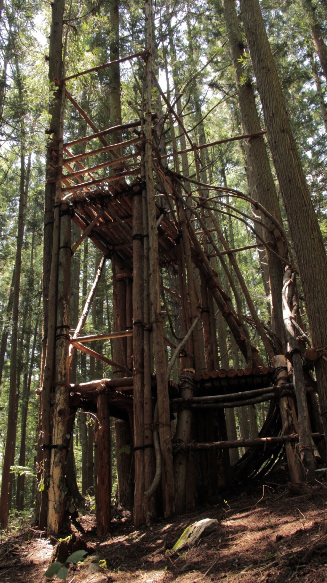 2016-Water-Aura-3-Forest-Lookout-3