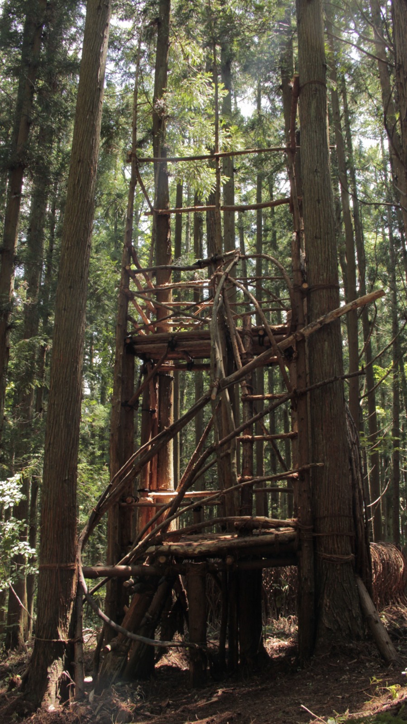 2016-Water-Aura-3-Forest-Lookout-4