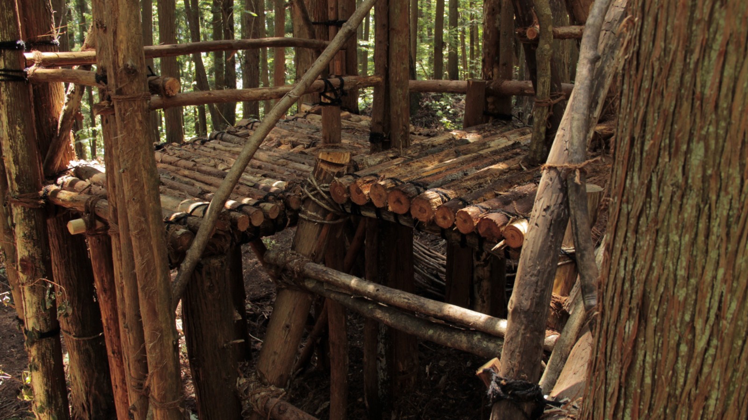 2016-Water-Aura-3-Forest-Lookout-5