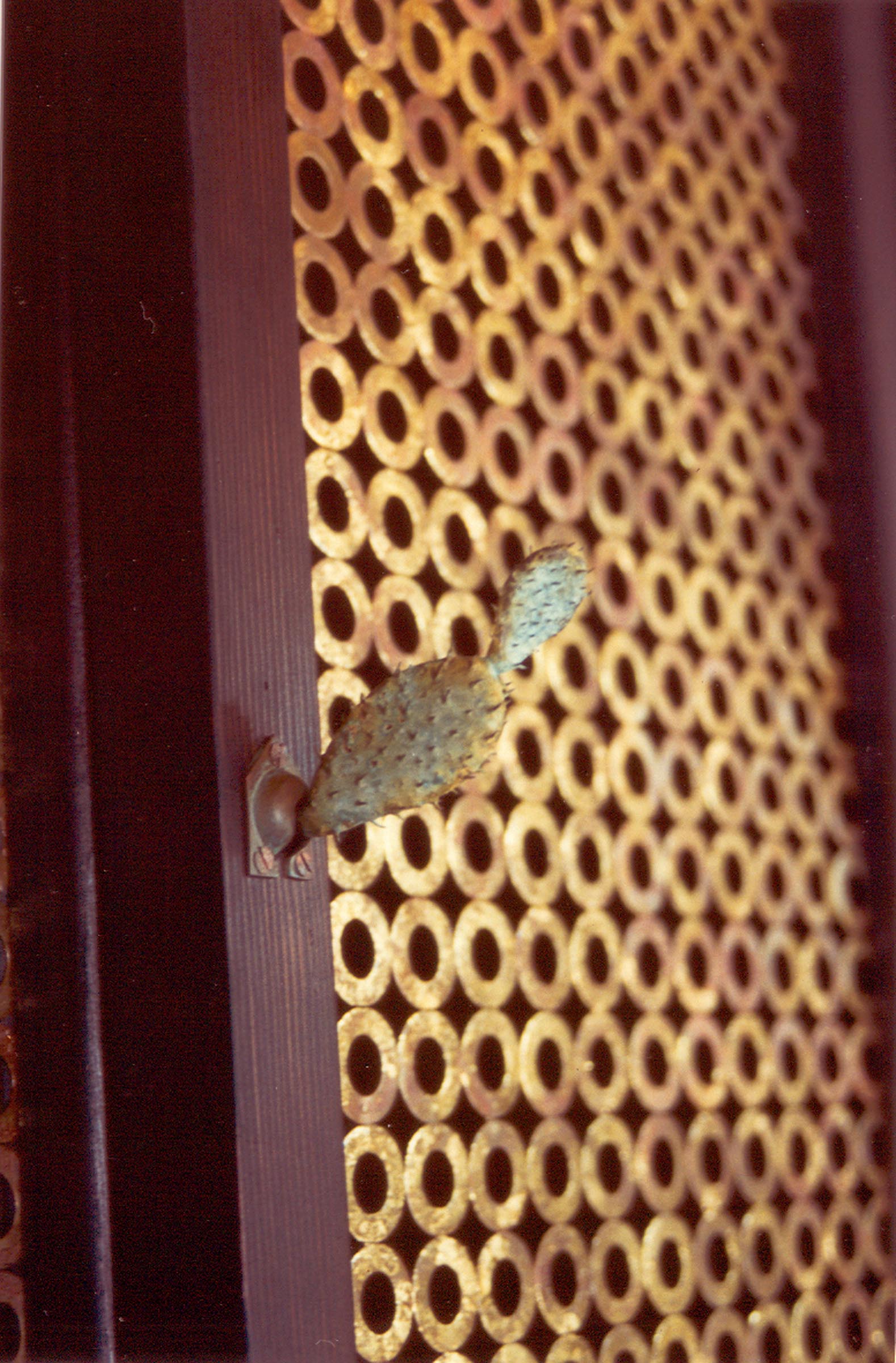 21-陳妍伊-How-Much-2