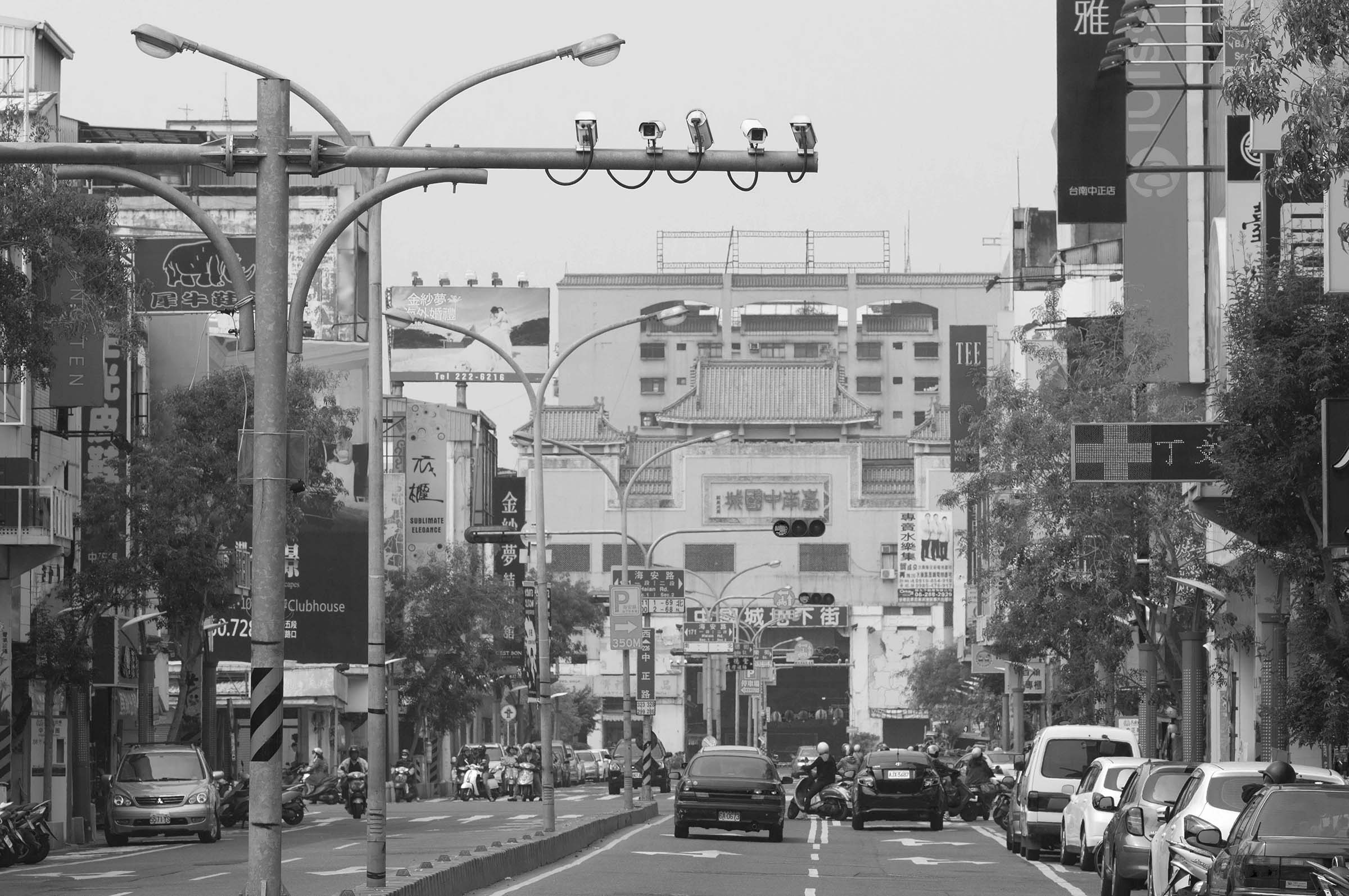 CCTV Birds NO.1~9