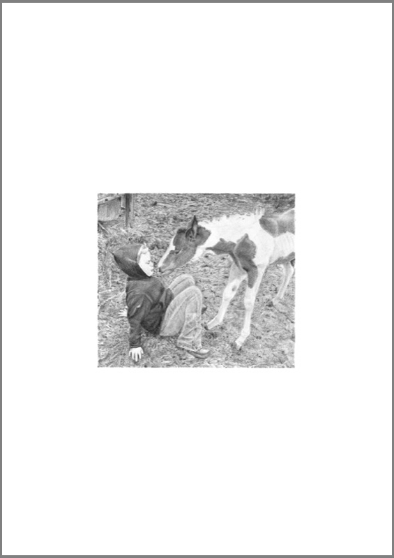 Domestication-008-pony_web