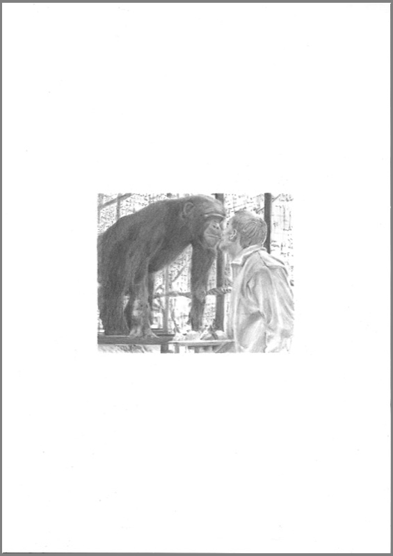 Domestication-013-chimpanzee_web