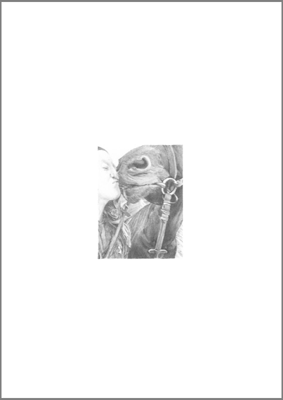 Domestication-017-Horse_web