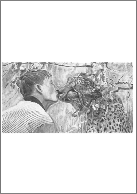 Domestication-018-Cheetah_web