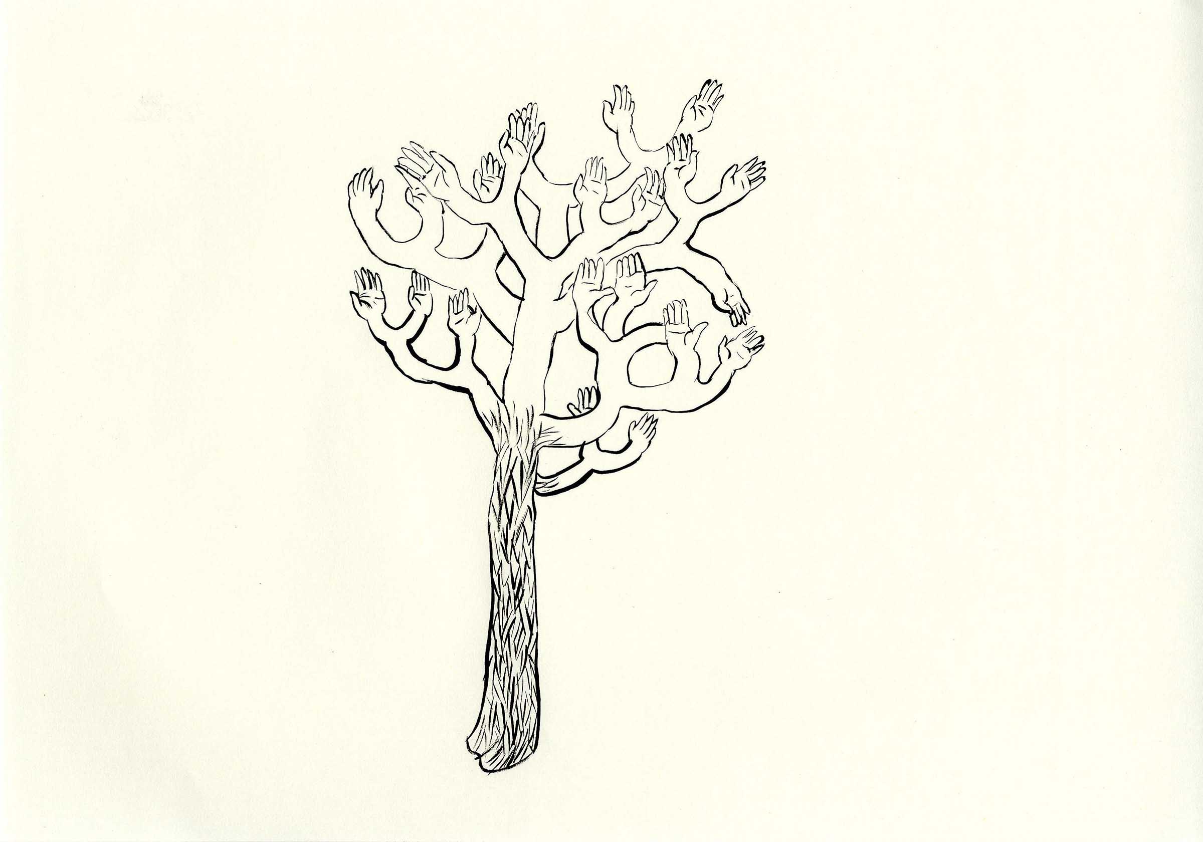 Joshua-Tree2010_selected-drawings_1