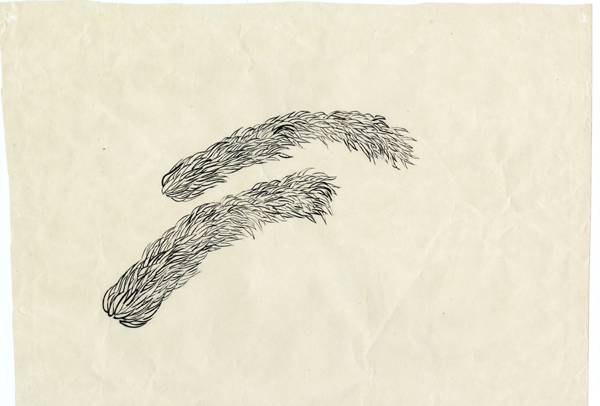 Joshua-Tree2010_selected-drawings_10