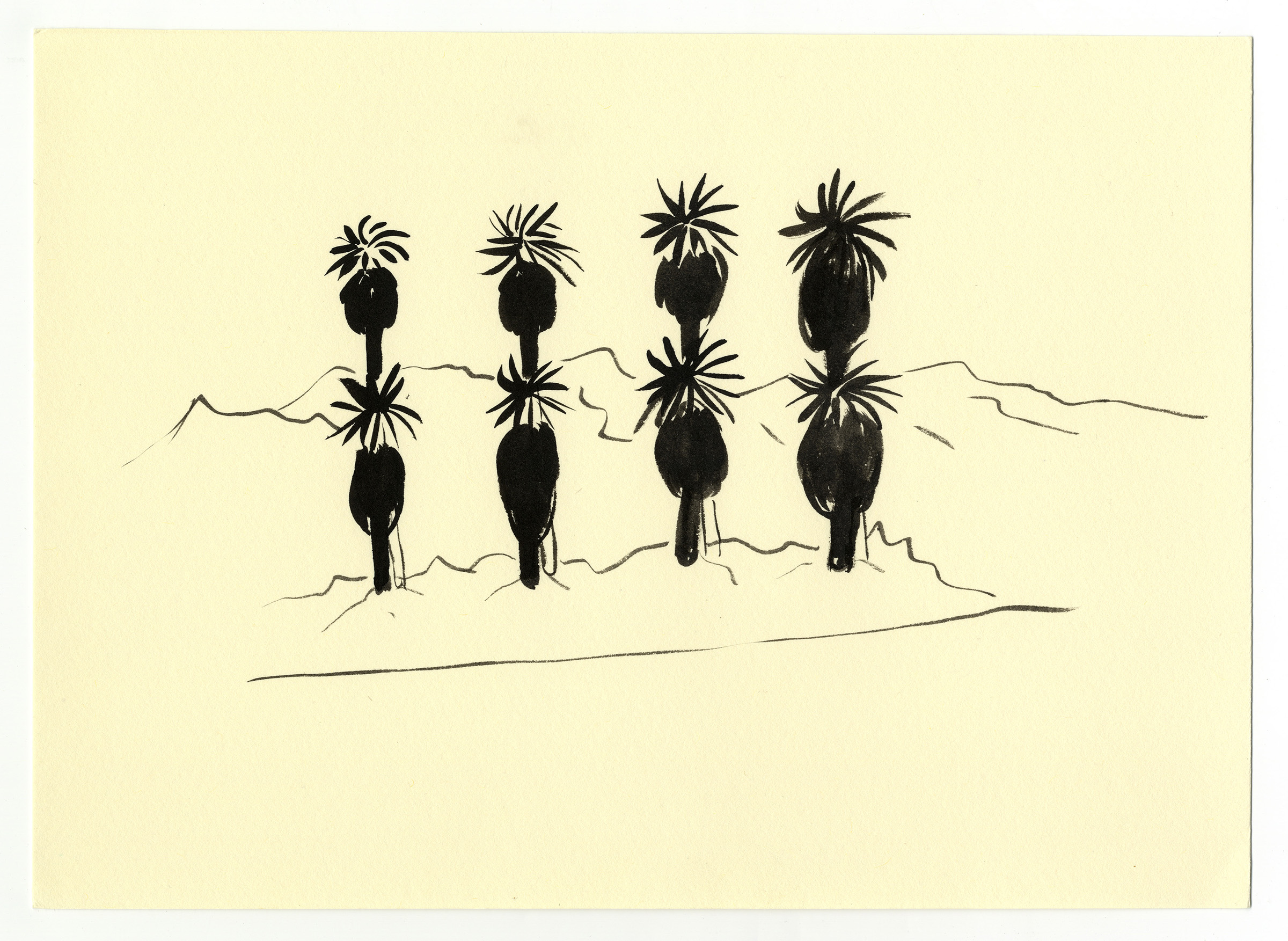 Joshua-Tree2010_selected-drawings_2