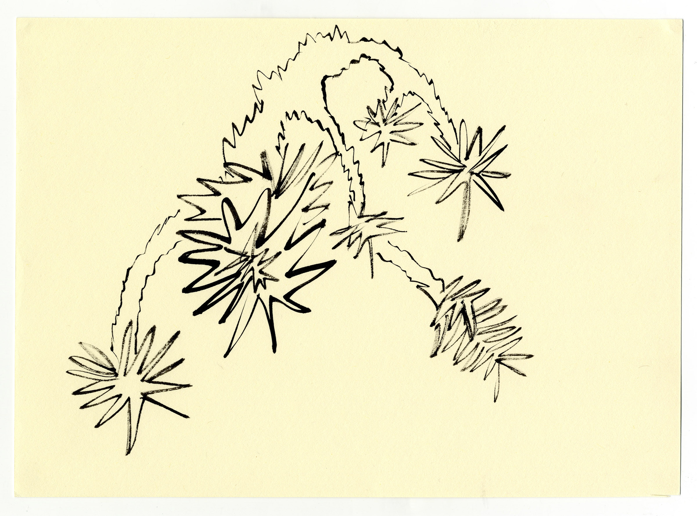 Joshua-Tree2010_selected-drawings_5