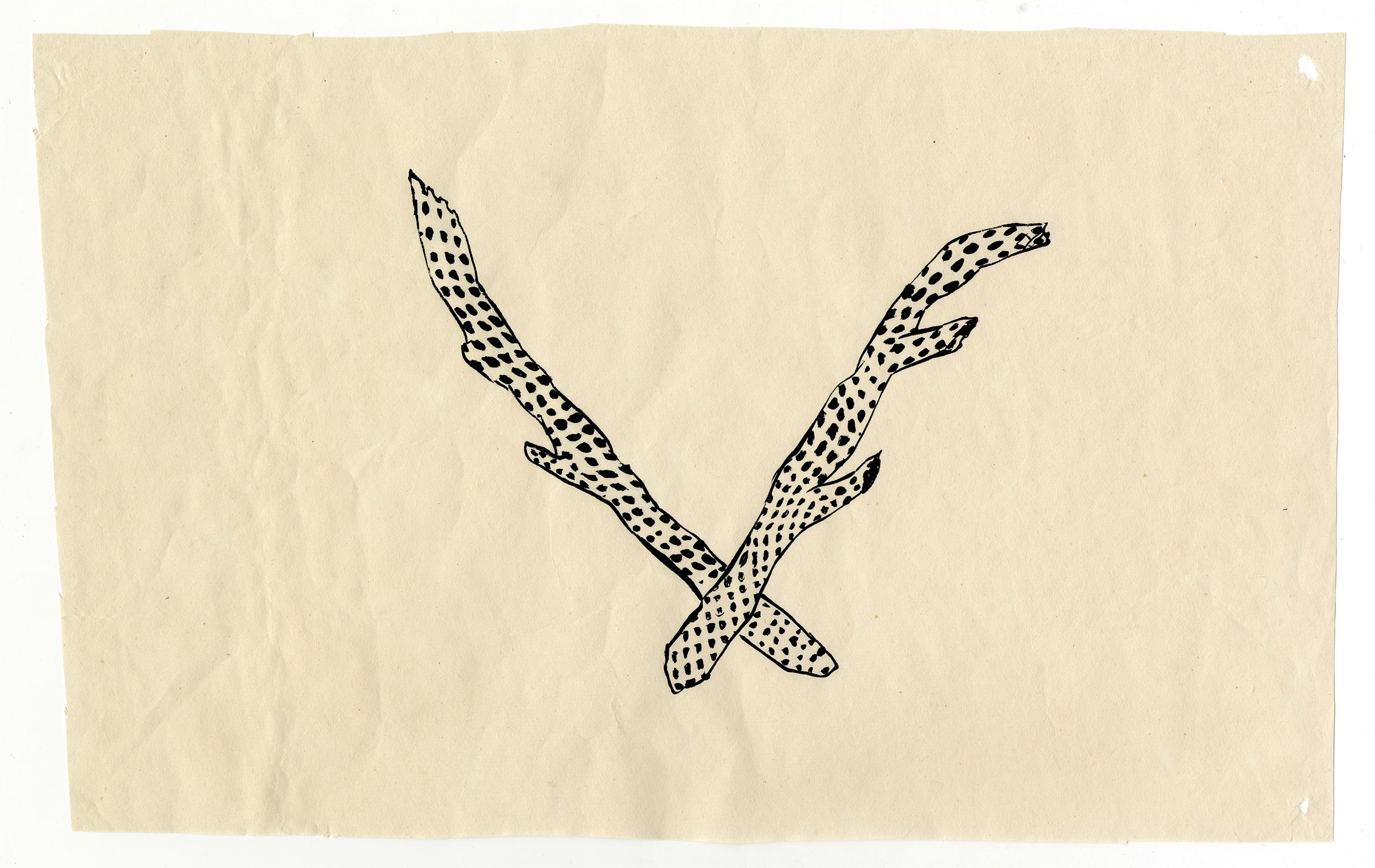Joshua-Tree2010_selected-drawings_9