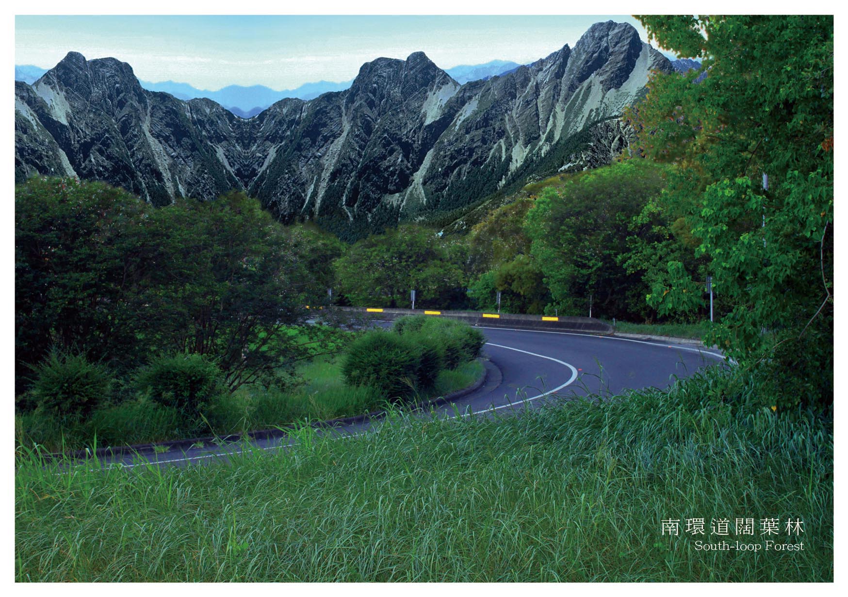 NF1NP_POSTCARD-Ver.1-南環道闊葉林