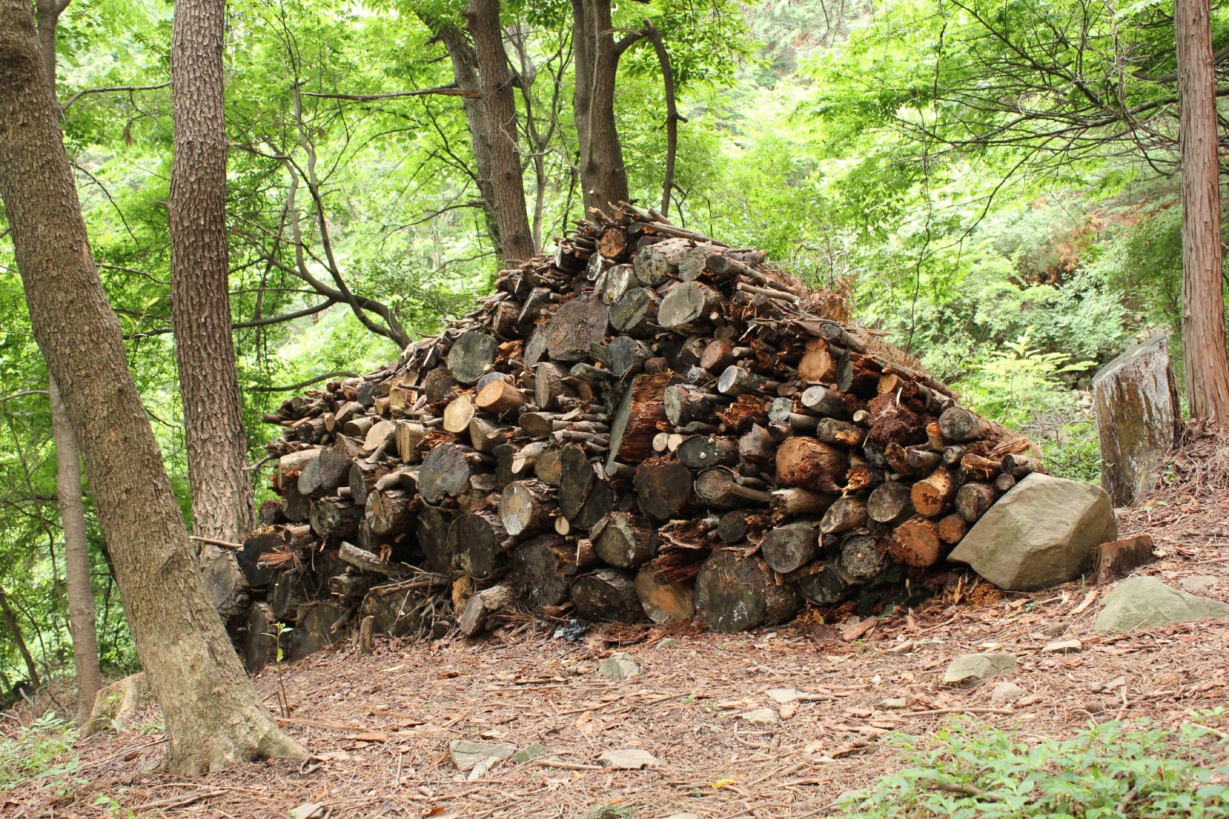 2013-06-Sunny-Hill微熱山丘02