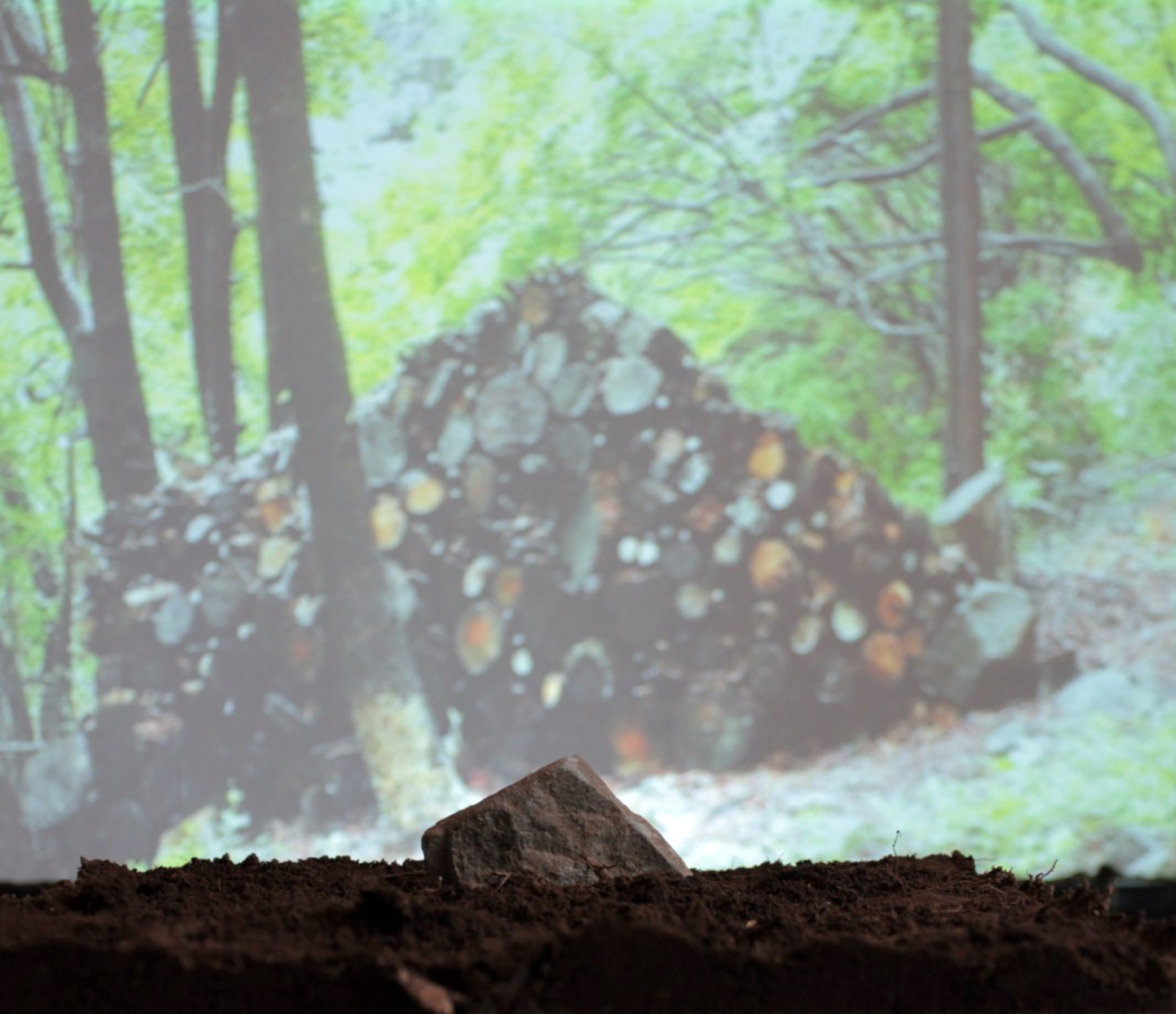 2013-06-Sunny-Hill微熱山丘03