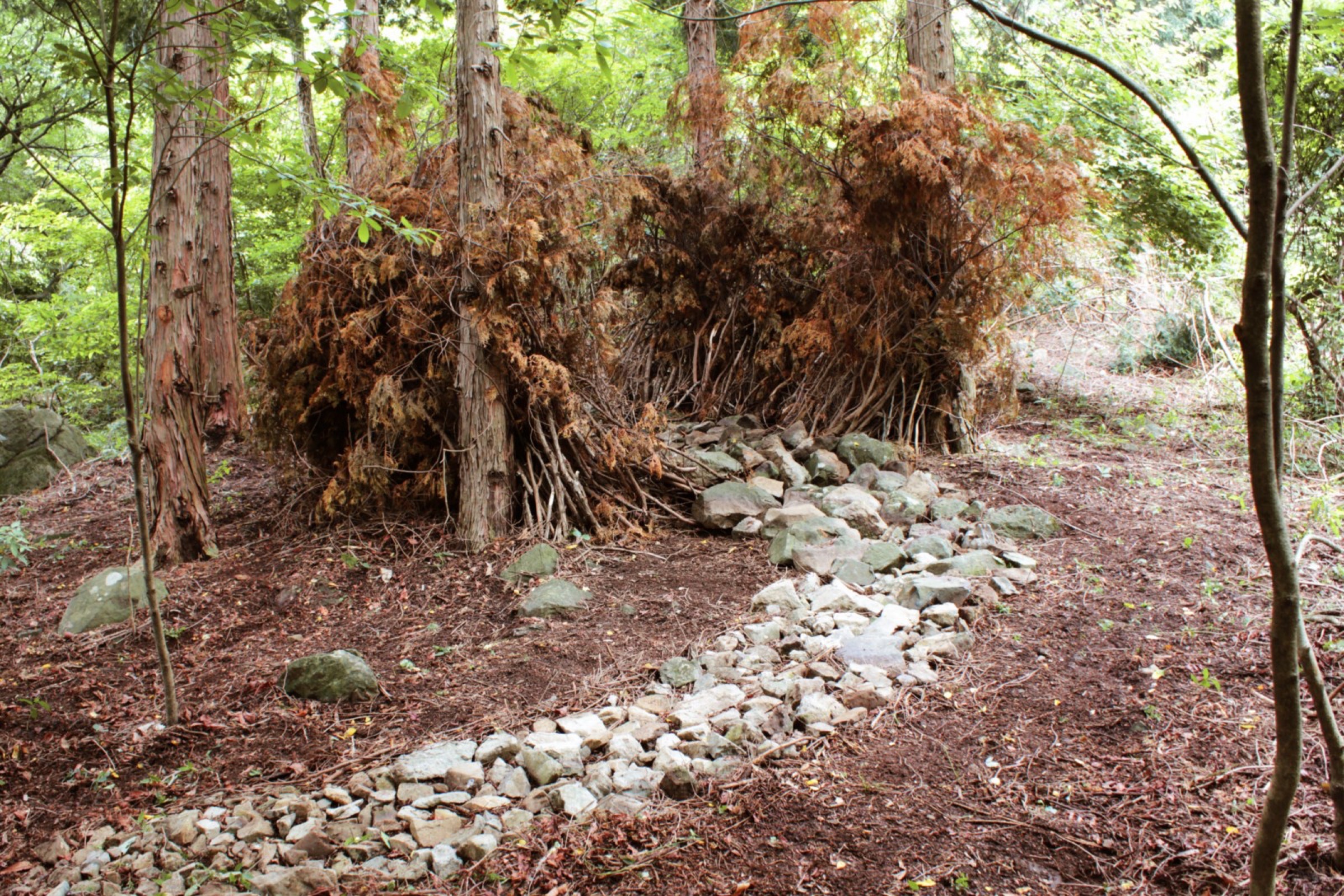 當我在山丘嗅聞時