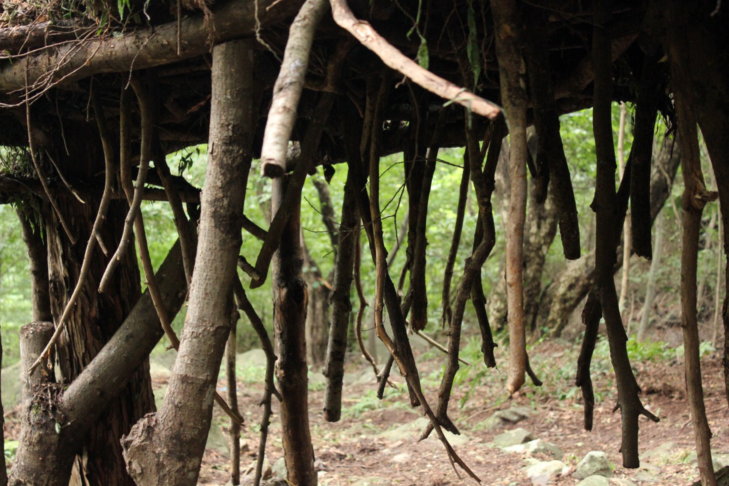 2014-08-Floating-Island-04