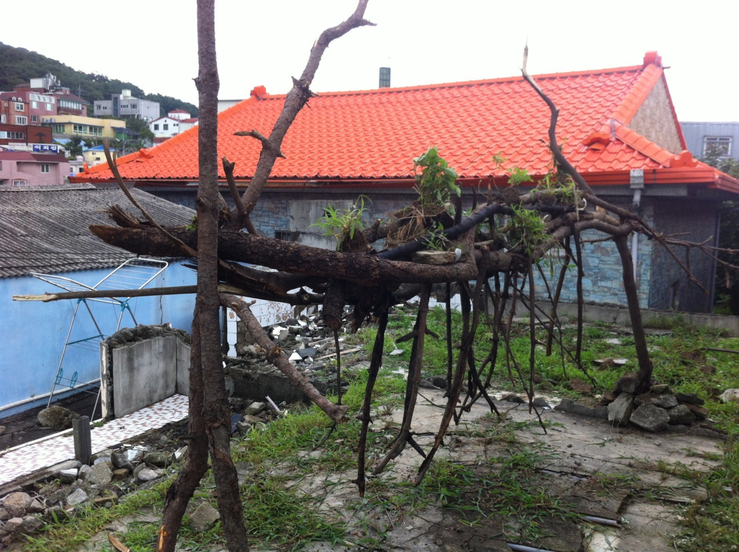 2014-08-Floating-Island-05