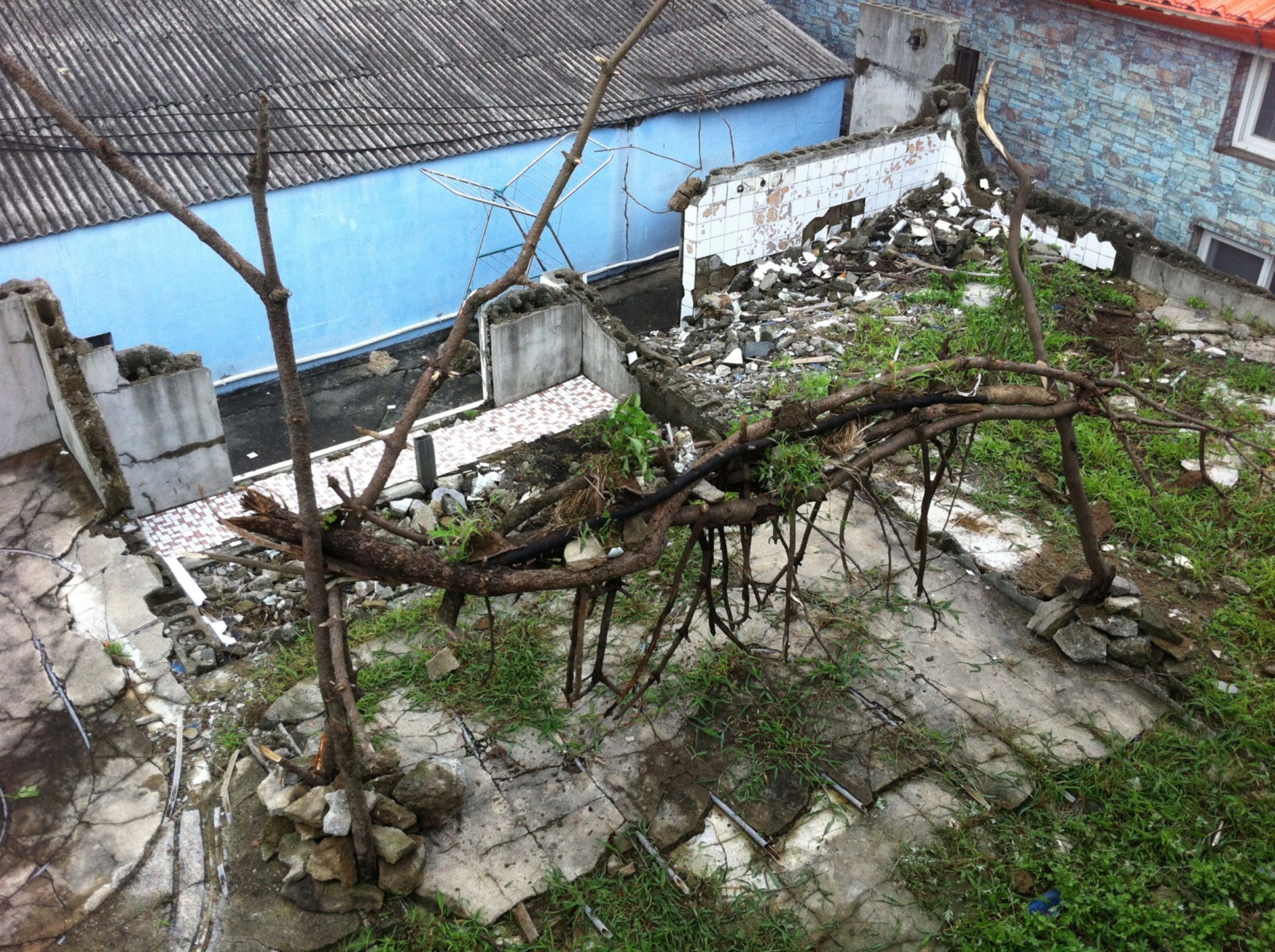 2014-08-Floating-Island-06