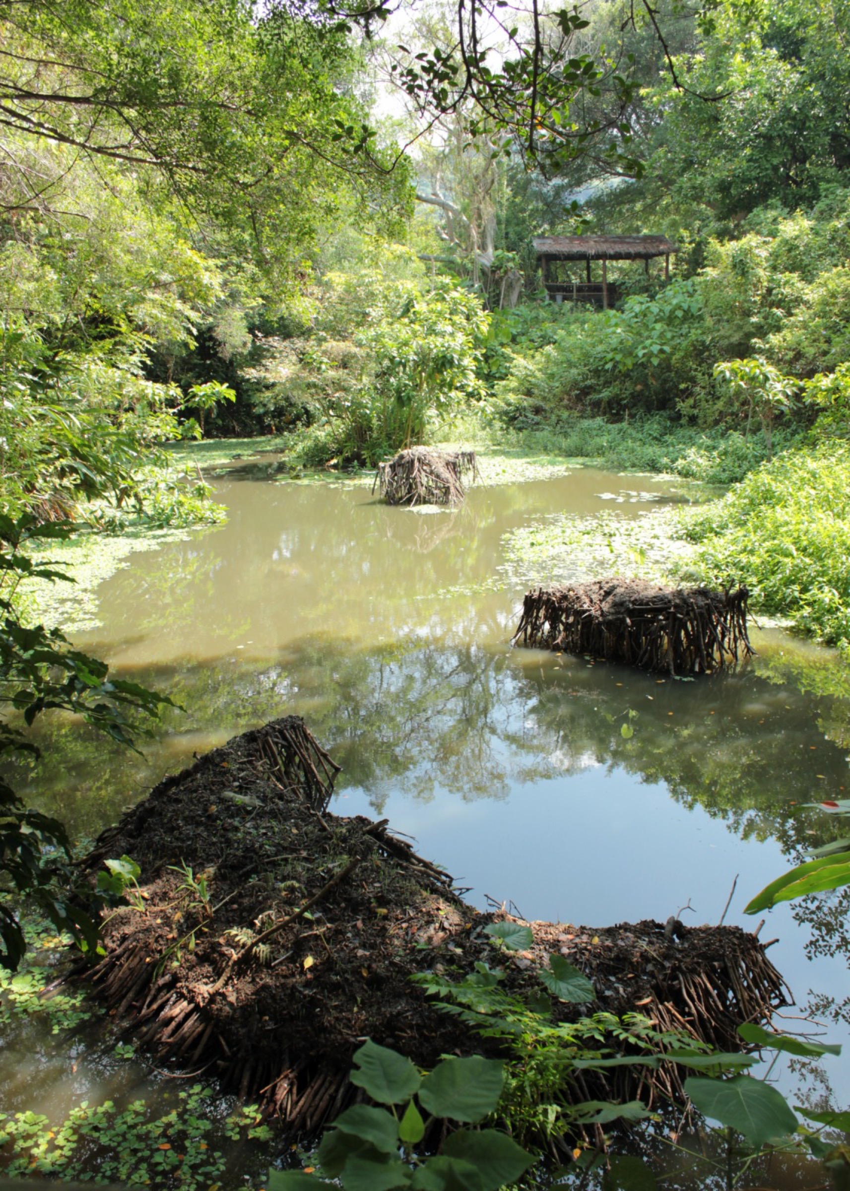 2014-09-Meander-Island-02