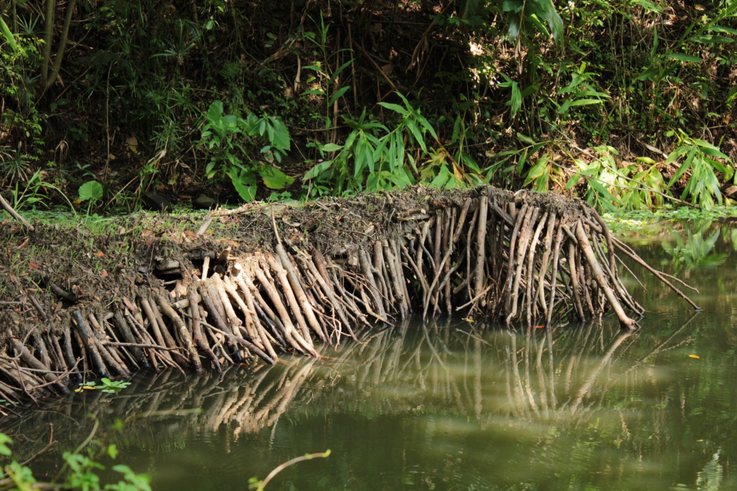 2014-09-Meander-Island-03